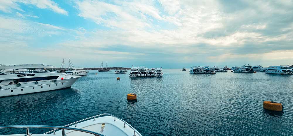 Private Boat Trip - Red Sea